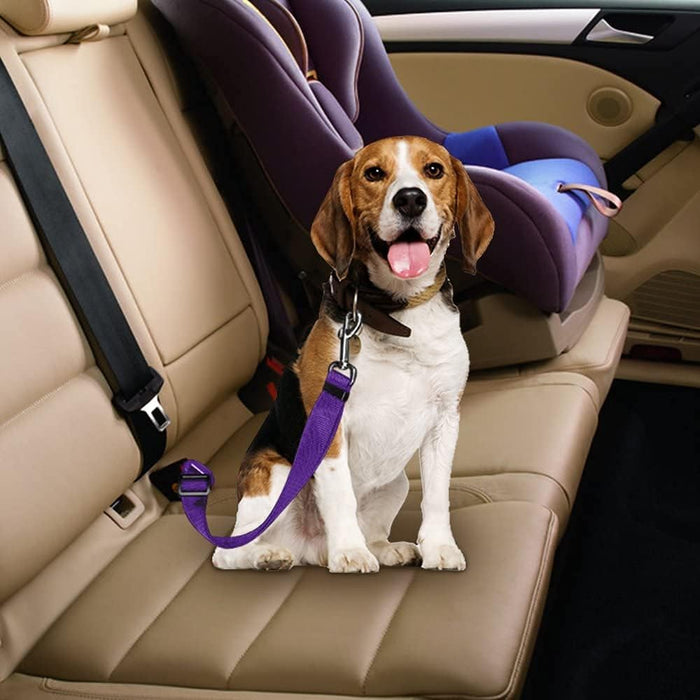 Paws & Buckle Up: Furr-tastic Pet Car Safety Belt!