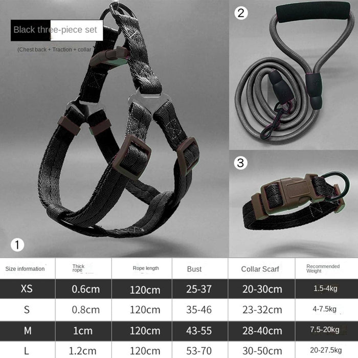 Pawsitively Chic Set of 3: Dog Harness, Collar, and Leash Set! (Black, XS/S/M/L)