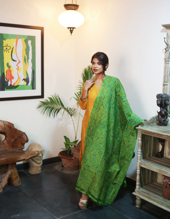 Kantha Stitched Dupatta on Silk Base