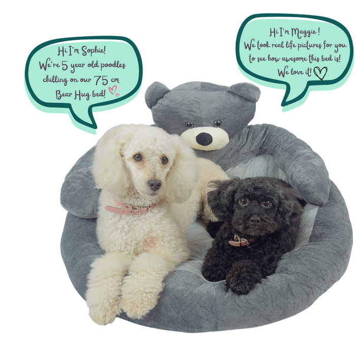 Hug A Teddy Bear Cuddle Bed (Sizes Available - 55 CM & 75 CM)