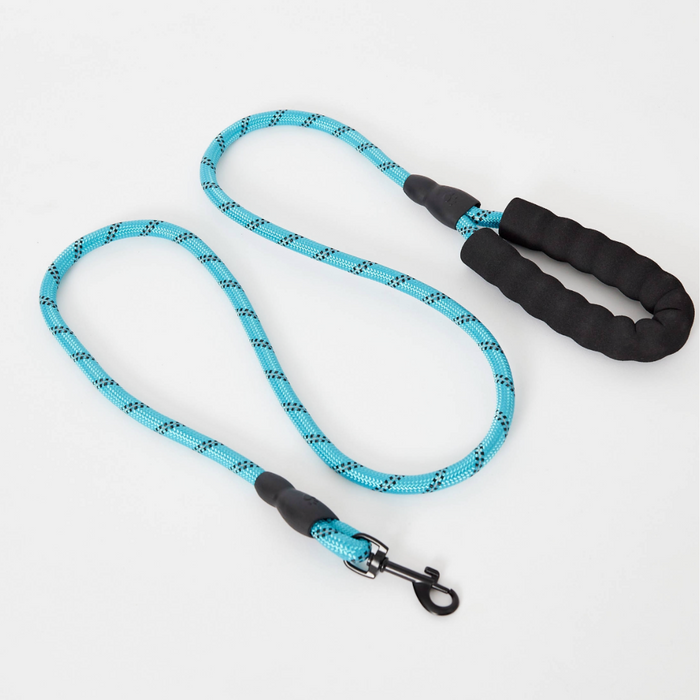 DuoBlue Pet Adventure Set: 2 Matching Harness and Leash Sets