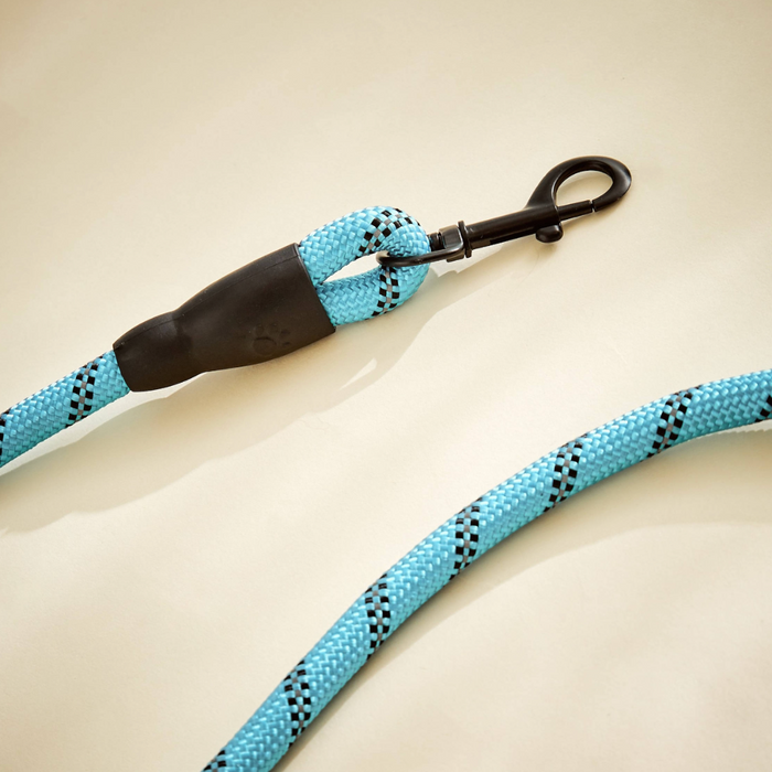 DuoBlue Pet Adventure Set: 2 Matching Harness and Leash Sets