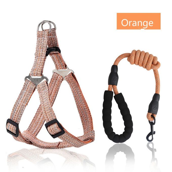 Strut Wag Pet Harness & Lead Set (Light Patterned Orange)