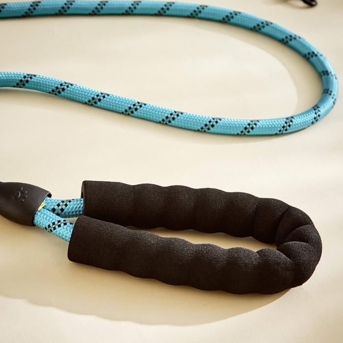 DuoBlue Pet Adventure Set: 2 Matching Harness and Leash Sets