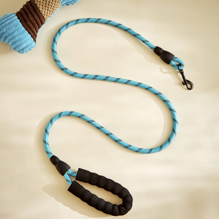 DuoBlue Pet Adventure Set: 2 Matching Harness and Leash Sets