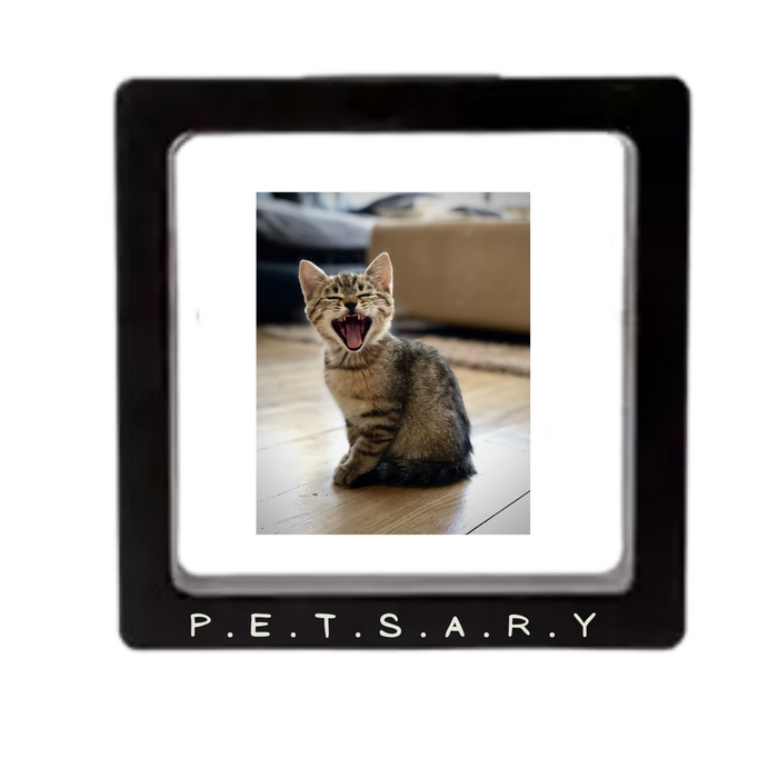 PAWSITIVE VIBES Engraving Pet Tag with a Floating Frame!