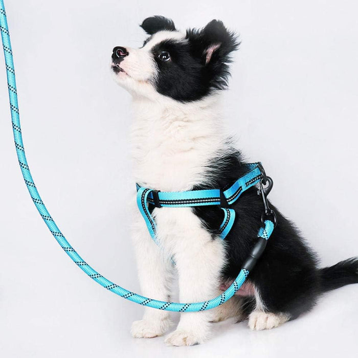 DuoBlue Pet Adventure Set: 2 Matching Harness and Leash Sets
