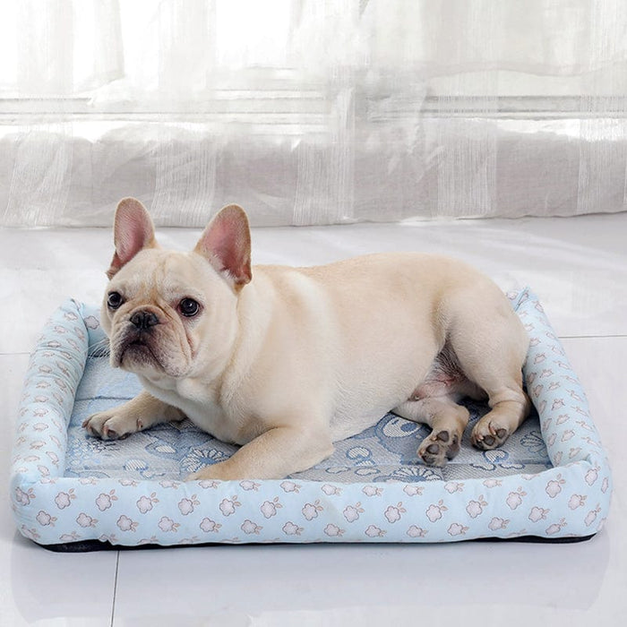Teddy Bear Cooling Pad Bed