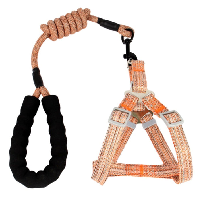 Strut Wag Pet Harness & Lead Set (Light Patterned Orange)
