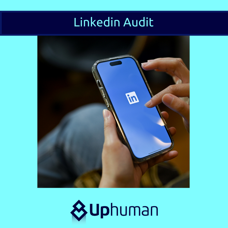 Linkedin Audit