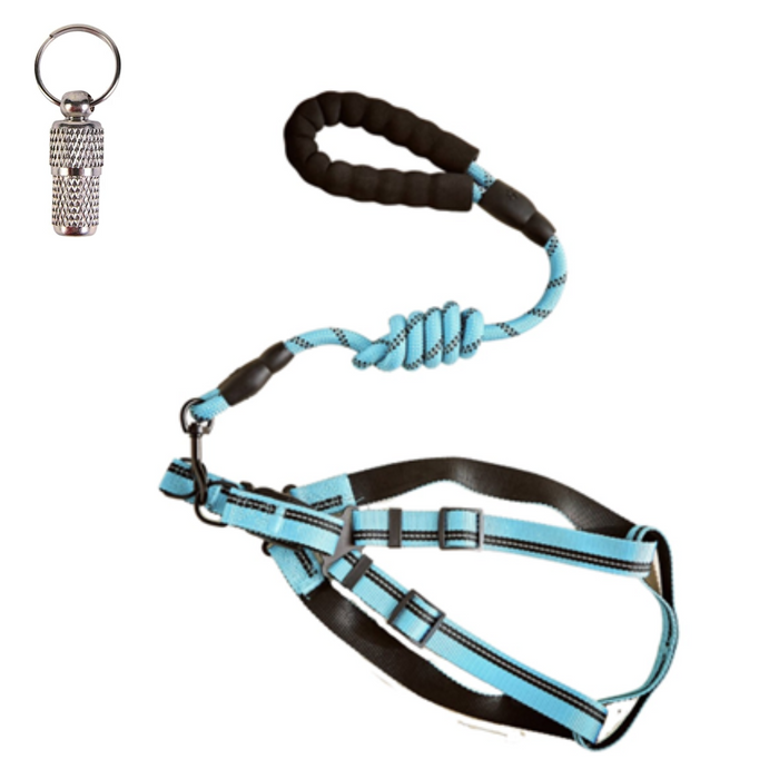 DuoBlue Pet Adventure Set: 2 Matching Harness and Leash Sets