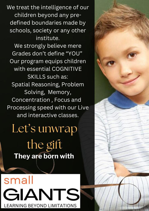 ABACUS  (Complete Brain Development Program) by Small Gaints