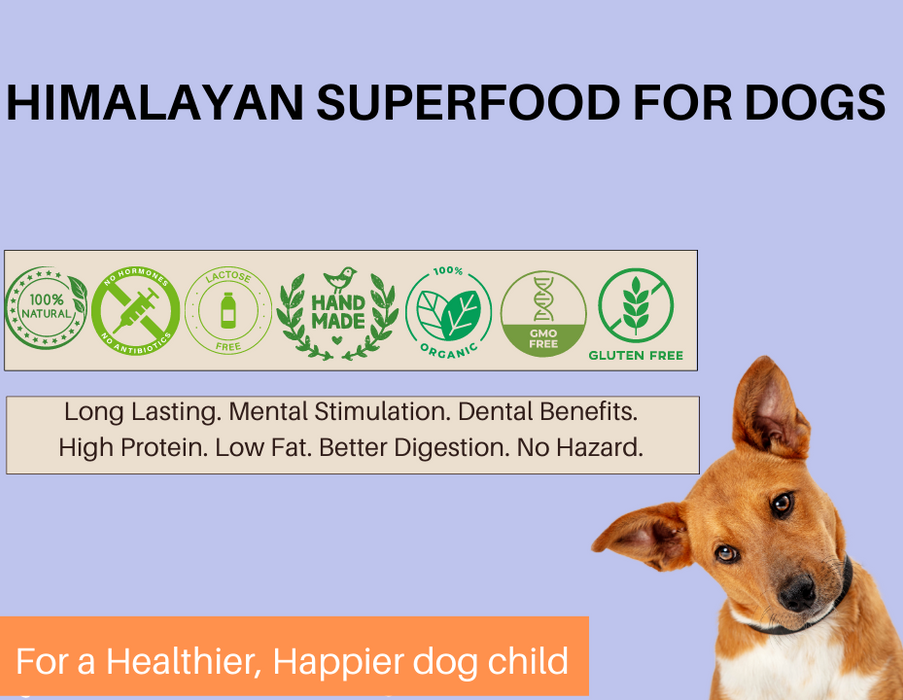 HIMALAYAN HEALTHY DENTAL CHEW BARS FOR DOGS - NATURAL FLAVOR