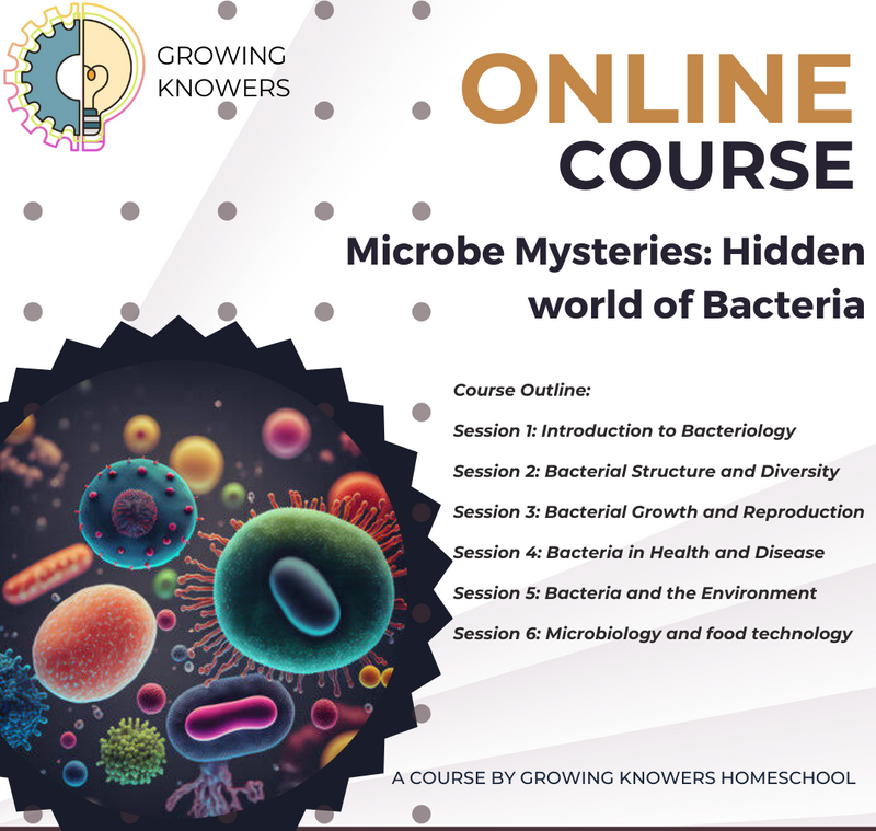 Microorganisms Secret Microbe Mysteries: Hidden world of Bacteria — ItsHerWay.com