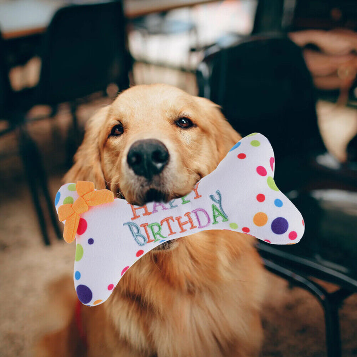 Paw-ty Time Delight: Squeaky Plush Birthday Toys for Dogs