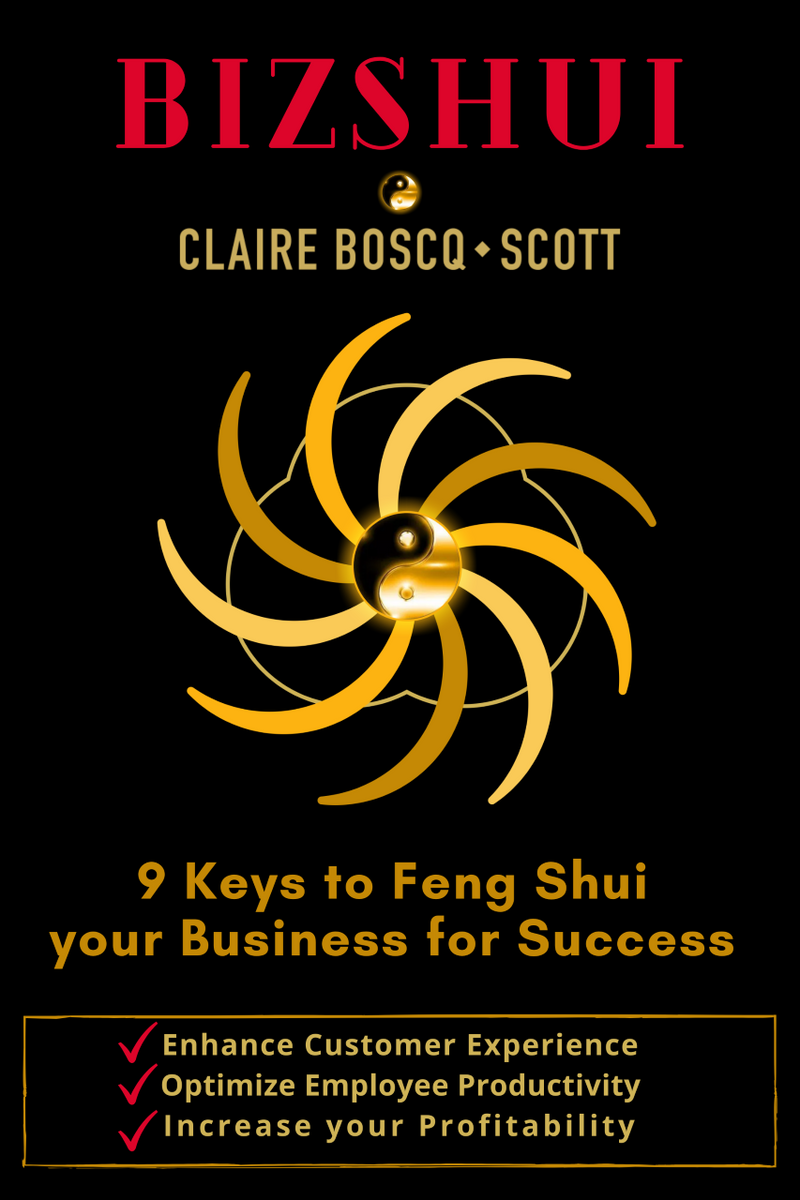 BizShui, 9 Keys to Feng Shui your Business for Success