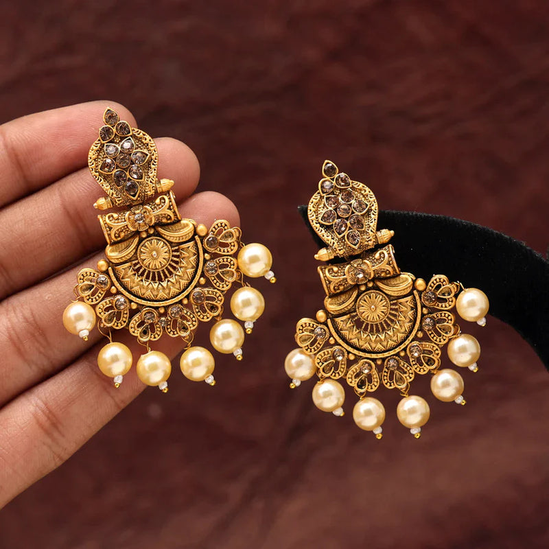 Gold Color Matte Gold Earrings (MGE212GLD) - Gold